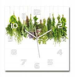 TULUP Nagy üveg falióra Gyógynövények zsinóron 60x60 (pl_zsk_60x60_f_61629941)