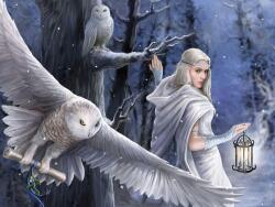 Prime 3D 3D puzzle Midnight Messenger 61x46cm 500el (670889104580)