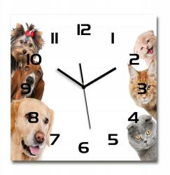 TULUP Nagy négyzet alakú üveg falióra Kutyák és macskák 60x60 cm (pl_zsk_60x60_f_104206550)