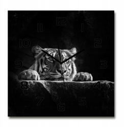TULUP Nagy négyzet alakú üveg falióra Tigris 60x60 (pl_zsk_60x60_f_101258480)