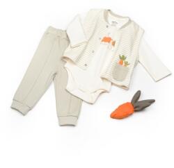 BabyCosy Set 3 piese: body, pantalon si vesta Rabbit, 100% bumbac organic, BabyCosy (Marime: 3-6 Luni) (BC-CSY2018-3)