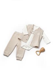 BabyCosy Set 3 piese: body, pantaloni si vestuta TeddyBear, BabyCosy, 100% bumbac (Marime: 9-12 luni) (BC-CSY8115-9)