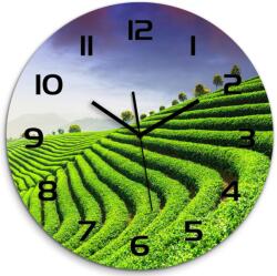 TULUP Modern üveg falióra Teaültetvény fi 60cm (pl_zso_60_f_83004057)