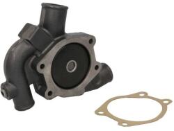 THERMOTEC Pompa apa, racire motor THERMOTEC WP-PK132 (WP-PK132)