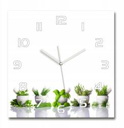 TULUP Üveg falióra, csendes áramló mechanizmus Gyógynövények 60x60 (pl_zsk_60x60_f_122892380)