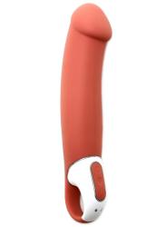 Satisfyer Vibes - Master