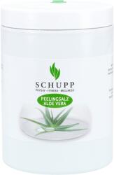 SCHUPP Testradírozó só Aloe Vera 1kg - Schupp