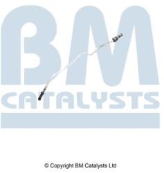 Bm Catalysts Conducta de presiune, senzor de presiune (filtru particule) BM CATALYSTS PP11322A (PP11322A)