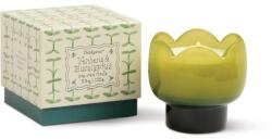 Paddywax Tulip Verbena & Lemongrass lumânare parfumată 155 g