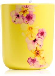 ipuro Travel The World Hawaii illatgyertya kupakkal 270 g