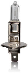  Homasita, H1 Izzó, 12V 55W (83110991)