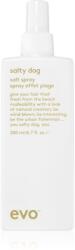 EVO Style Salty Dog sós spray hajra 200 ml
