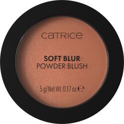  Catrice Blush Soft Blur 050