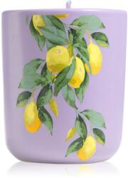 ipuro Travel The World Amalfi illatgyertya kupakkal 270 g