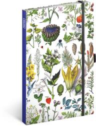 Presco Keménytáblás notesz krémszínű lapokkal, pontozott, leszorító gumiszalaggal Herbs 130x210mm, Presco (5416-HS)