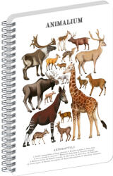 Presco Jegyzetfüzet ikerspirálos Animalium - Artiodactyls, sima, 14, 8x21cm A5, Presco (A-37274)