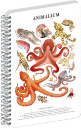 Presco Jegyzetfüzet ikerspirálos Animalium - Cephalopods, vonalas, 21x29, 7cm A4, Presco (A-37261)