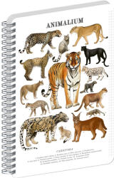 Presco Jegyzetfüzet ikerspirálos Animalium - Felines, négyzethálós, 14, 8x21cm A5, Presco (A-37266)