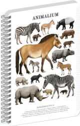 Presco Jegyzetfüzet ikerspirálos Animalium - Perissodactyls, négyzethálós, 14, 8x21cm A5, Presco (A-37270)