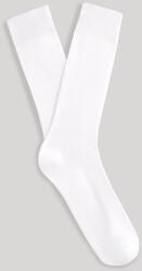 CELIO Riqlo (1086735)
