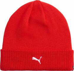 PUMA Teamadditions Beanie (02724201)