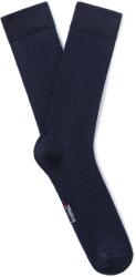 CELIO Sipique2 (1171121)