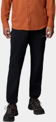 Columbia Essential Hike Brushed Back Pant D