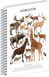 Presco Jegyzetfüzet ikerspirálos Animalium - Artiodactyls, sima, 21x29, 7cm A4, Presco - papirx