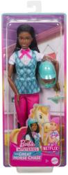 Mattel Barbie A nagy lóhajtás rejtélye- HXJ39 (HXJ39)