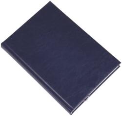 REALSYSTEM Agendă REALSYSTEM Standard B/5, pagini albe, albastră, 2027 (5621-04)