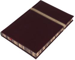 REALSYSTEM Agendă REALSYSTEM Business B/5, cu pagini galbene zilnice, margini cu grafică personalizată, tipărită în maro închis, 2027 (5624-06)