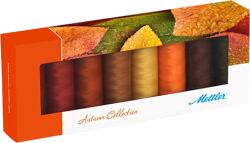 Mettler ATA COTON SILK-FINISH AUTUMN KIT 8 BUCATI, METTLER (SFC8AUTUMN-Kit) - masinidecusut
