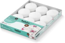 Bolsius White, 12 db