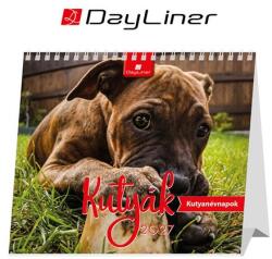 DAYLINER Календар, настолен, стоящ, dayliner „Кучета (dl7as-kufal-hh)