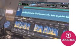 Acon AS Acoustica 8 Ultimate UPG from 7 Standard (Digitális termék)