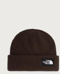 The North Face căciulă Salty 9BY2-CAUZTE_89X (NF0A8CGZNMF1)