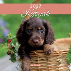 LIZZY Falinaptár 2027 LIZZYCALENDAR lemez nagy 29x29cm Kutyák