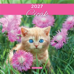 LIZZY Falinaptár 2027 LIZZYCALENDAR lemez nagy 29x29cm Cicák