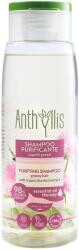 Pierpaoli Anthyllis Șampon purificator pentru păr gras cu extract de brusture - 300 ml