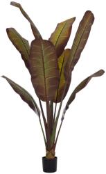  Planta decorativa in ghiveci, Bananier Japonez, 85×75×225 cm (UE-HM4740)