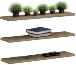  Set 3 rafturi de perete Cassius, culoare natur, 60x14, 5 cm (UE-HM8966.12) Raft