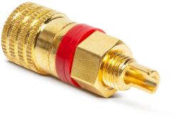  Priza Banana Aurita Incorporabila pentru Difuzoare, Conector Audio Izolat cu Inel Rosu (GLB_05244PI)