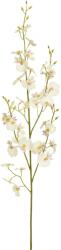  Creanga artificiala Oncidium, crem, 78 cm (IN-4016550312780)