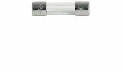 SCHURTER Siguranta ardere rapida F315mA 250VAC 5x20mm FSF SCHURTER 0034.1511 (0034.1511)