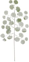  Creanga artificiala Eucalipt, verde, 72x30x5 cm (IN-5902663464678)