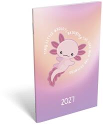 Lizzycalendar Agendă LIZZYCALENDAR A/6 săptămânală cu marcaje Fantastic 2027 (7540223010)