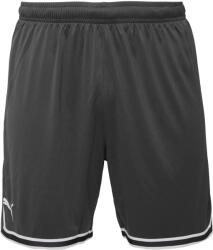 PUMA Hoops Team Game Short (67662901)