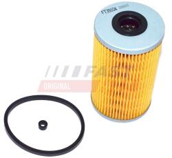FAST filtru combustibil FAST FT39104 (FT39104)