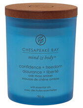 Chesapeake Bay Confidence & Freedom Candle - small tumbler (5038581114194)