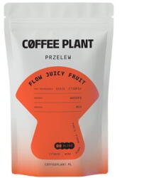 COFFEE PLANT Cafea Boabe FLOW Juicy Fruit Filter | 100 g (cfd-2101012657)